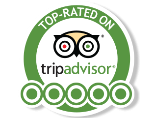 tripadvisor logo